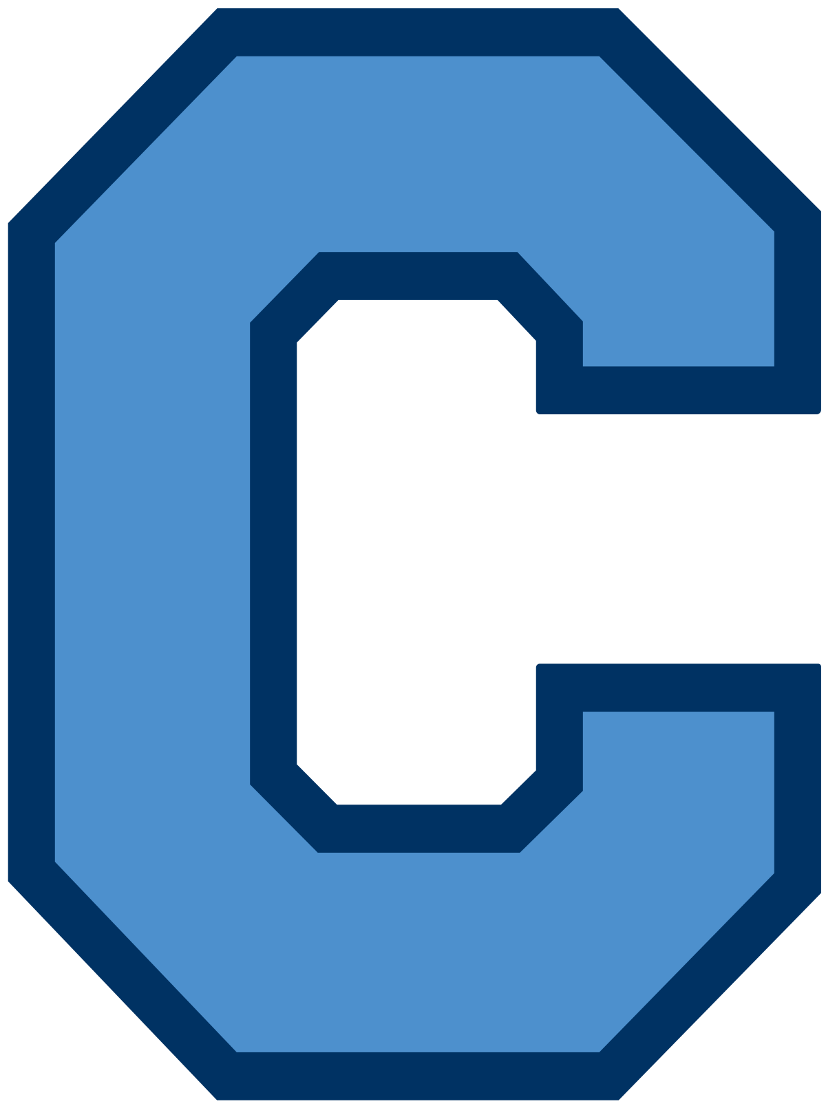 Citadel Bulldogs Football Logo