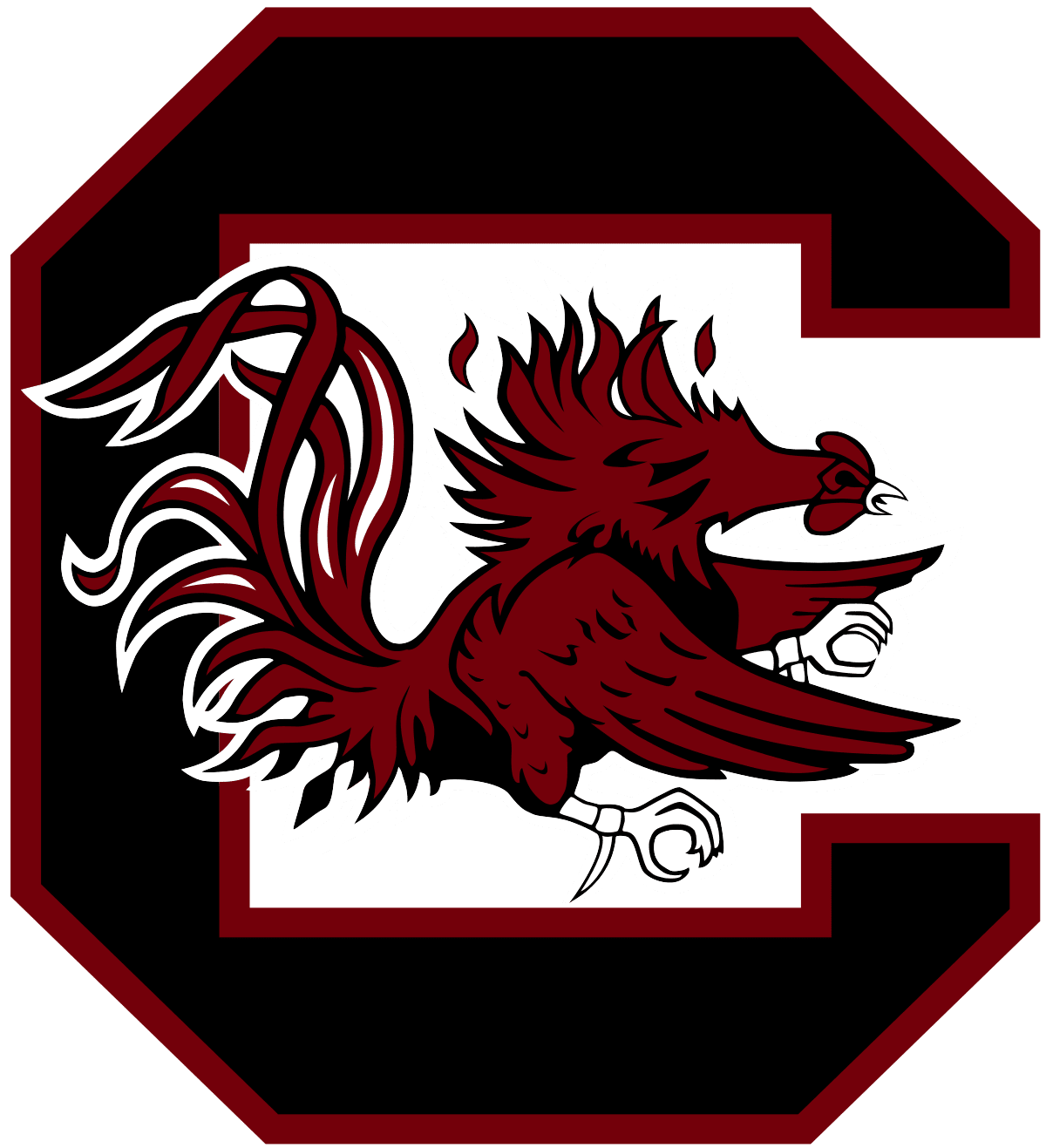 South Carolina Gamecocks